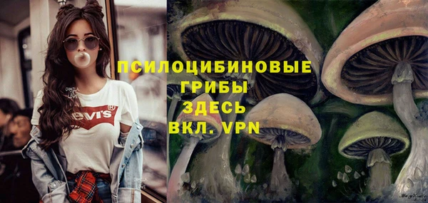 молекула духа Балахна